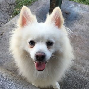 Meet your Posher, Holly